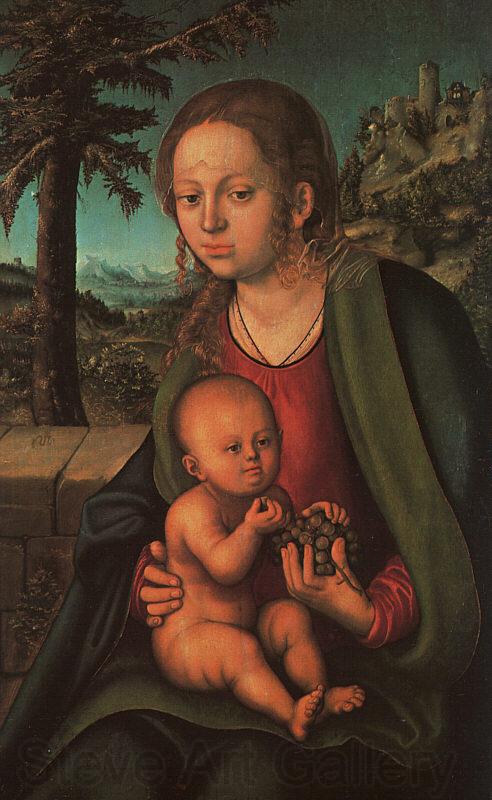 Lucas  Cranach The Madonna with the Bunch of Grapes Spain oil painting art